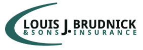 Louis J Brudnick & Sons Insurance logo